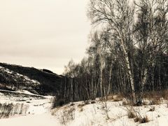 -多乐美地滑雪场