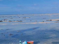 -北海金海湾红树林生态旅游区