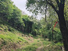 -黄龙山原始森林景区