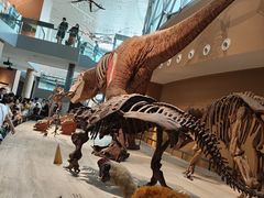 -Behring World of Animals(上海自然博物馆店)