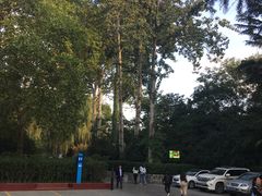 -西安市长乐公园