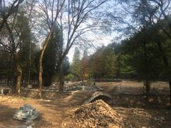 -素山寺森林公园