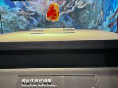 -北京大葆台遗址博物馆