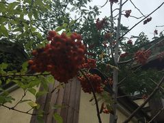 -金石唐风国际温泉会馆