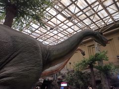 -国家自然博物馆