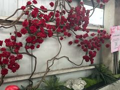 -百荣世贸商城