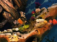 -珠海横琴国家地理探险家中心(创新方)