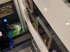 -阿五黄河大鲤鱼(纬三路店)