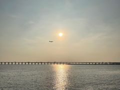 -宝安西湾红树林湿地公园