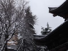-句容茅山景区