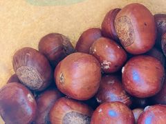 陈记糖炒栗子-陈记栗子(长宁路店)