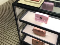 -COACH蔻驰(双安商场店)
