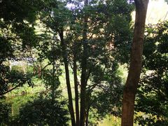 -火炉山森林公园