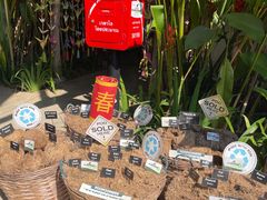 -大象粑粑造纸公园