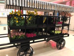 -深圳春天阳光医院·轮廓抗衰中心