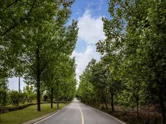 -仙海旅游度假区