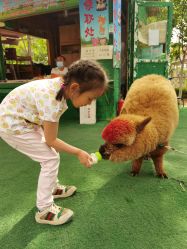 -萌宠亲子动物乐园(槐房万达店)