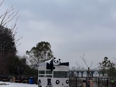 -武汉动物园