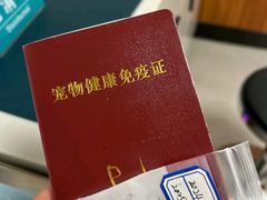 -派联宠物医院·24h·CT·异宠