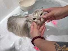 -FAELING PETS美天灵宠物(富力广场店)