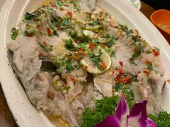 -荷花泰菜(东方新天地店)