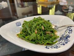 凉拌丝瓜尖-保定会馆(裕华店)