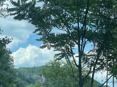 -将军关探险漂流