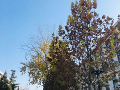 -北京化工大学(东校区)