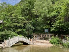-王顺山国家森林公园