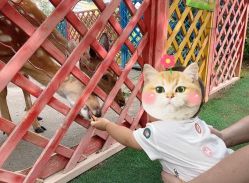 -萌宠亲子动物乐园(槐房万达店)