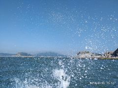 -长岛万鸟岛