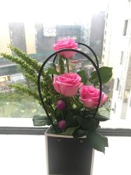 -东方幸福国际母婴月子会所(沙湾公园店)