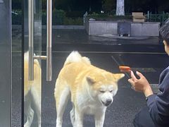 -小旋风·鹤岗烧烤(佳丰北苑店)