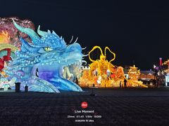 -淄博花灯齐彩城