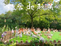 -上海野生动物园