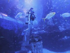 -太平洋海底世界