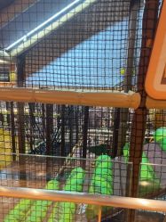 -卡通尼·Safari非洲探索乐园·生日会(金桥国际商业广场店)