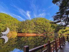 -洛阳白云山景区