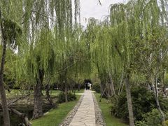 -无锡蠡湖国家湿地公园-蠡园