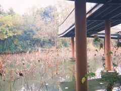 -白鹭湾湿地公园