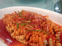-绿雅居原生态农庄(小涌店)