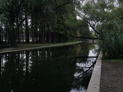 -上海共青森林公园