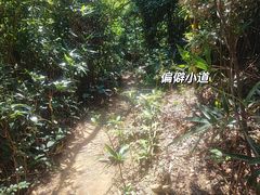 -梅沙尖