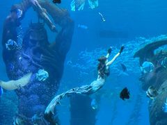 -波塞冬旅游度假区