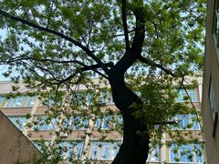 -四川大学(望江校区)