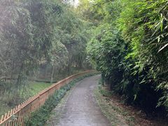 -杭州植物园