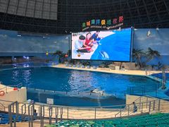 -泉城欧乐堡海洋极地世界