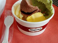 -东怡大酒店(上海科技馆店)