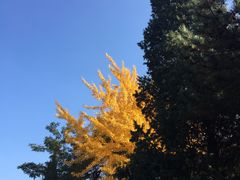 -辽宁大学(崇山校区)