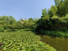 -苏州太湖国家湿地公园